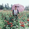 玲玲的头像