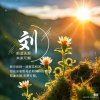 今生有你（上班中，晚回）的头像
