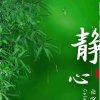 叶儿的头像