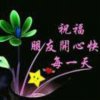 传奇的头像