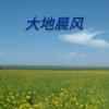 大地晨风的头像
