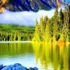 XJ乐团沧海雲天的头像