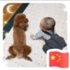 Better me的头像