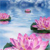 Xiu Ping Luo 快乐的人的头像