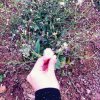 幻影的头像