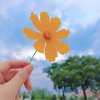 芸芸众生的头像