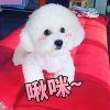 HL&CB的头像