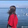 迎涵的头像