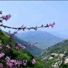 福澤厚载∝气血方剛北京通州。的头像