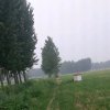 国强超市！的头像