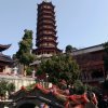 秋香的头像