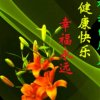 缘聚的头像