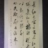 倦鸟已归的头像