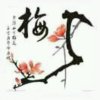 梅竹缘的头像
