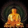 阿弥陀佛的头像