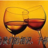 豆芽的头像
