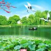 携手人生的头像