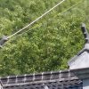 潜山县古典建材瓦厂的头像