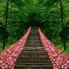 米兰一生平安（拒私信）的头像