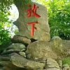 的头像