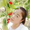 雅典娜的头像