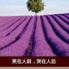 英子的头像