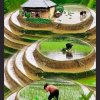 歌的头像