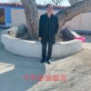 松柏的头像