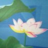 小苹果的头像