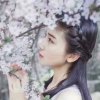 木棉花的春天的头像