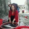 兰儿的头像
