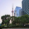 海市蜃楼的头像
