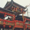 天随人愿的头像
