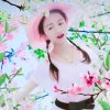 妙声高萍的头像