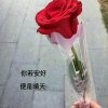 王雨露的头像