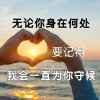冬天的艾叶的头像