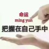 假如的头像