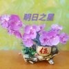 明日之星的头像