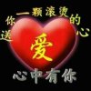 琼枝玉叶的头像
