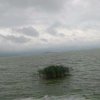无语的头像