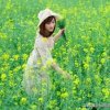 清颜的头像