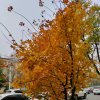 伤心的雨《拒私聊》的头像