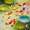 含羞草的头像
