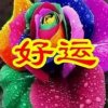 向阳:婉音家族(核心主唱)停币的头像