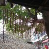 丫头的头像