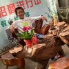 杰杰妈咪的头像