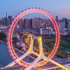 海阔天空的头像