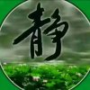 感悟的头像