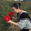 梅慧琴的头像