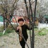 《溪水欢唱》的头像